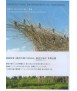 Architectural Environments for Tomorrow: new spatial practices in architecture and art