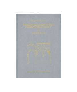 Treatise on Hispano-Muslim Architecture IV: Mosques
