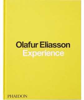 Olafur Eliasson. Experience.