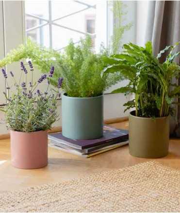 Maceta Turin, 3 uds.