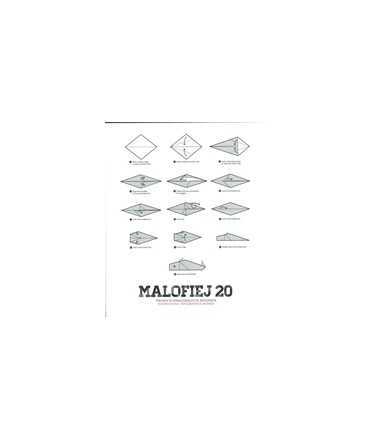 Malofiej 20: Premios internacionales de Infografía/International Infographics awards