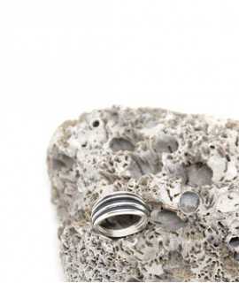 Canals Ring