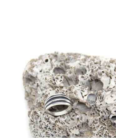 Anillo Canals