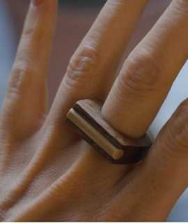 Anillo Conexión