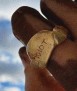 Idiot Ring