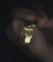 Idiot Ring