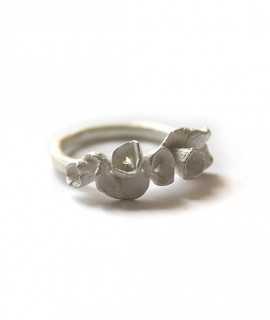 Anillo Undersea II