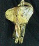 Elephantidae Collar