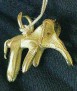 Elephantidae Collar