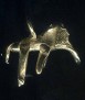 Elephantidae Collar