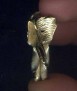 Elephantidae Collar