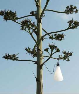 Mayday Outdoor Light, Black
