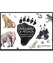 Discover the footprint
