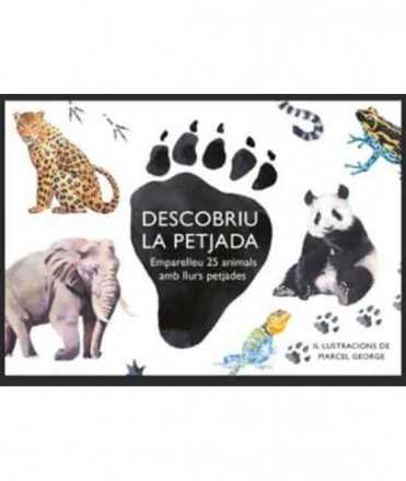 Discover the footprint