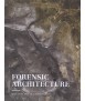 Forensic Architecture. Hacia una estética investigativa