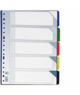 Separador de plástico transparente, folio. 10 posiciones