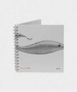 Libreta Spoon fish