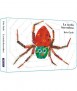 The busy spider