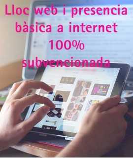 Lloc website and basic presence on the internet