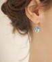 Fruit earrings, hook