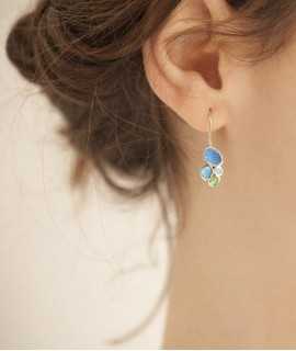 Fruit earrings, hook