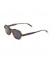 Sodermalm sunglasses, Tortoise