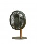 Ventilador de sobremesa Ginko, Verde