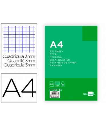 Spare liderpapel a4 100 sheets 60g/m2 3 mm frame with margin 4 holes