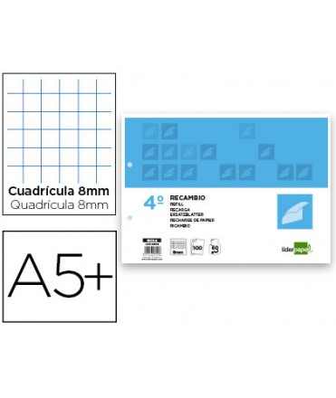 Recambio liderpapel cuarto apaisado 100 h 2tca-08 cuadro 8 mm 2 taladros con margen