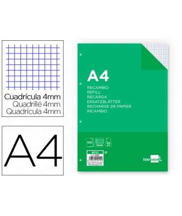 Spare liderpapel a4 100 sheets 60g/m2 frame 4 mm with margin 4 holes