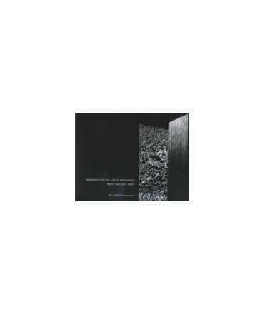  Musée Soulages-Rodez: Embarquement visuel sur la nef des images oubliées