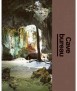 Cave Bureau:The Architect's Studio