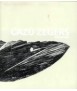 Cazú Zegers: carpentry