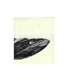 Cazú Zegers: carpentry