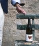 Vino tinto Malditos Cuñados