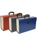 liderpapel briefcase with gusset and handle lined cardboard 19 apartments 255x390x120 mm assorted colours