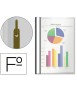 Carpeta dossier fastener plastico esselte folio negra
