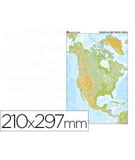 Mapa Mute Color DIN A4 North America Physical