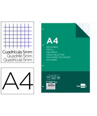 Recambio liderpapel a4 100 hojas 100gr cuadro 5mm con doble margen 4 taladros
