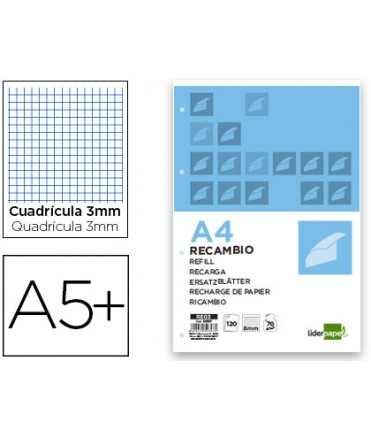 Recambio liderpapel cuarto 100 hojas 60gr cuadro 3mm con margen 6 taladros