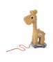 Giraffe Raffi