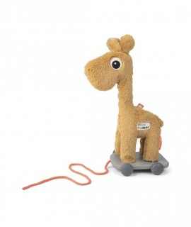 Giraffe Raffi