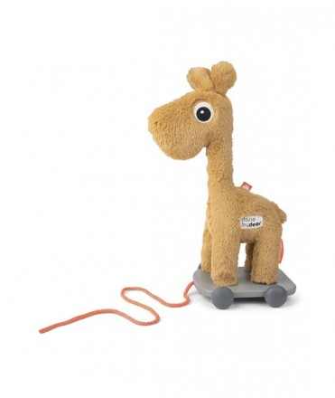 Giraffe Raffi