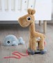 Giraffe Raffi