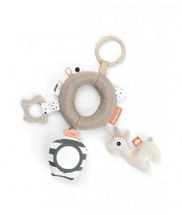 Lalee Activity Ring