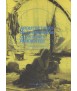 Emergency architectures: unfinished business
