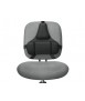 Fellowes Professional Ergonomic Backrest
