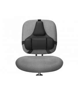 Fellowes Professional Ergonomic Backrest