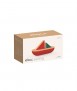 Sailing Boat