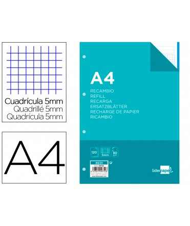 Recambio liderpapel a4 120 hojas 80g/m2 cuadro 5mm sin margen 4 taladros bandas de 5 colores